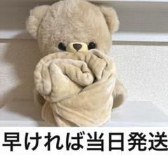 タイトー限定 いっしょにぬくぬくくまさんブランケット付き
