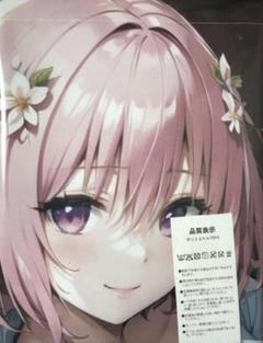 メルカリ入札 ワルキューレロマンツェタオルシークレット版（NO.5615） 2025年最新】walkureの人気アイテム - メルカリ