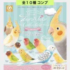和葉 手のりインココレクション スヤスヤお休み14種類&amp;ちょっと大きな仲間 ガチャガチャ/カプセルトイ 手のりインコ コレクション スヤスヤ