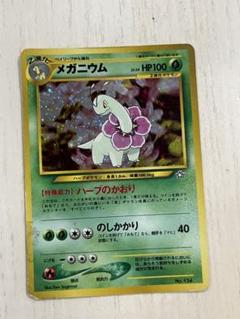 ポケモン - 【美品】ポケモンカード　メガニウム　キラカード　旧裏 2025年最新】ポケモンカード 旧裏 メガニウムの人気アイテム