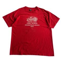 USA製 フルーツオブザルーム ビンテージTシャツ 赤 1993 90s 赤