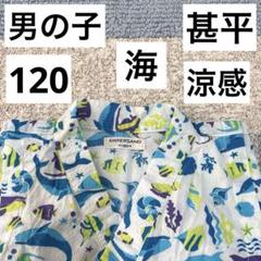 ampersand 甚平　男の子　120 涼感　青　ブルー　人気　イルカ　海子供