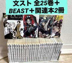 文豪ストレイドッグス 全25巻＋BEAST 4巻＋関連本 2冊 漫画