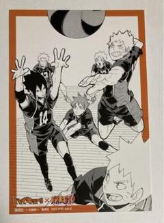 ジャンプスペシャルアニメフェスタ2014 ポストカード　NARUTO ハイキュー ジャンプスペシャルアニメフェスタ2014 来場者記念ポストカード