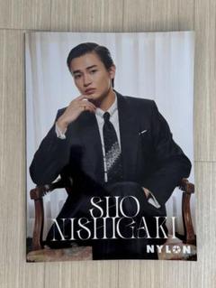 ⑪西垣匠 グラフィックTシャツ NYLONコラボ Amazon.co.jp: SHO NISHIGAKI NYLON SUPER VOL.17 : NYLON JAPAN: 本