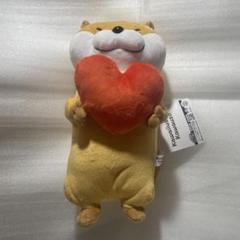 可愛い嘘のカワウソ　ぬきゅんBIGぬいぐるみ