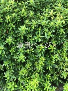 ラルフローレン 男の子 スーツの中古 未使用品を探そう メルカリ ラルフローレン 男の子 スーツの中古 未使用品を探そう メルカリ