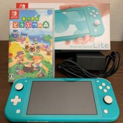 Nintendo Switch NINTENDO SWITCH LITE ター…