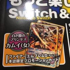 ファイアーエムブレム サイファ 3DS特典 カムイ