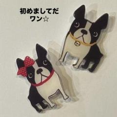 Yujin ／犬の生活 •ボストンテリア【中古開封品】✨希少商品 Yujin ／犬の生活 •ボストンテリア【中古開封品】✨希少レア商品