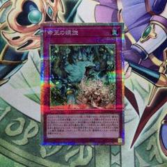 遊戯王　命王の螺旋　プリシク1枚　ドミナススパイラル