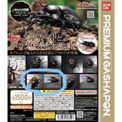 ムシキングカード　ヘラクレスエクアトリアヌス ムシキング アダー完結編2008第1弾 ヘルクレスエクアトリアヌス