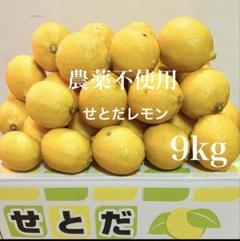 3国産瀬戸田レモン9kg前後 15国産瀬戸田レモン9kg前後 - メルカリ