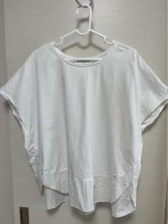 スタディオクリップ　Tシャツ