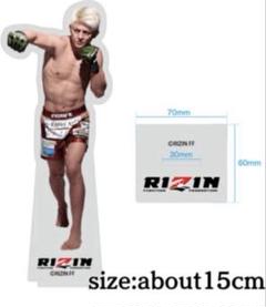 2025年最新】rizin アクリルスタンドの人気アイテム - メルカリ