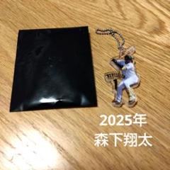 2025年最新】阪神タイガース能見の人気アイテム - メルカリ