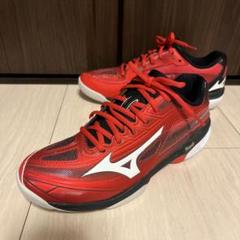 ミズノ MIZUNO ウエーブエクシード 3 CS カーペット テニスシューズ