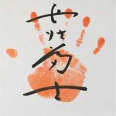 若貴兄弟絵皿 サイン色紙  のぼり 若貴兄弟絵皿 サイン色紙 のぼり