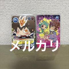 家庭教師ヒットマンREBORN!CCGカードゲーム　沢田綱吉/リボーン