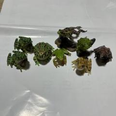 カエルフィギュア