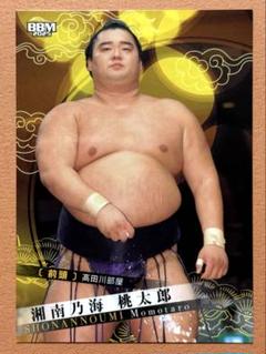 湘南乃海 大相撲カード 2025