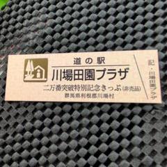 2025年最新】道の駅 記念きっぷの人気アイテム - メルカリ