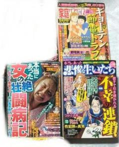 レディースコミック  まとめ売り30冊 レディースコミックまとめ売り 30冊