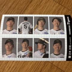 阪神タイガース 証明写真風ステッカー 近本