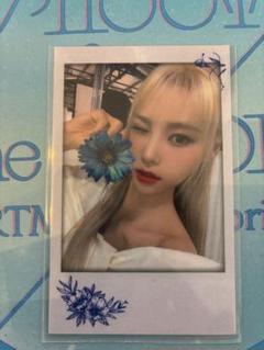 LOONA ARTMS 진솔 ジンソル オブジェクト トレカ 4枚セット ARTMS LOONA JinSoul ジンソル オブジェクト トレカ 101A - メルカリ