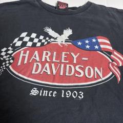 古着HARLEY-DAVIDSON/ハーレー ダビッドソンBIG SkyTシャツ