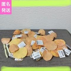 ポテトチップス リアルフードBC 2025年最新】リアルフードBCポテトチップスの人気アイテム