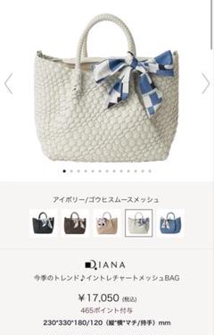 新品未使用、極美品【DIANA】イントレチャート2way メッシュトートバッグ 2025年最新】ダイアナ メッシュ バッグの人気アイテム - メルカリ