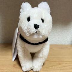 忠犬ハチ公　国立科学博物館／ぬいぐるみ Amazon.co.jp: 国立科学博物館 忠犬ハチ公 マスコット