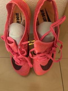 NIKEエアズーム ビクトリー25cm