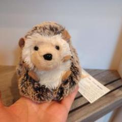 douglas ハリネズミ　ぬいぐるみ