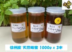 7末迄】 国産蜂蜜 1000g 3本セット 信州産 アカシア蜜 百花蜜 栗