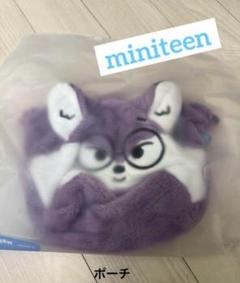 seventeen セブチ　ウォヌ　miniteen ポーチ