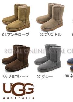 新品UGG CLASSIC SHORT II 24cm アンテロープレア
