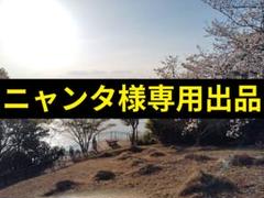 レア デプス × ワンバイトワンフィッシュ 帽子 キャップ グリーン レア デプス × ワンバイトワンフィッシュ 帽子 キャップ グリーン