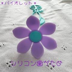 花びら型のブレスレット歯がため