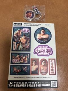 大相撲ガチャ 尊富士 ダブルチャームキーホルダー