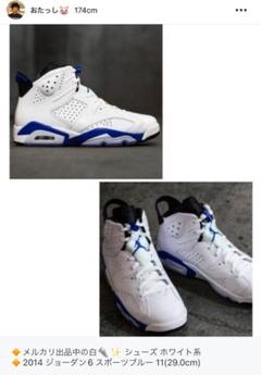 ★激安‼️2014年 NIKE ジョーダン6 スポーツブルー 11(29cm)のサムネイル