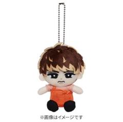 Snow Man 向井康二 すのチル ぬいぐるみ チラ見カード - メルカリ