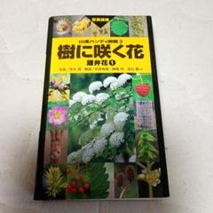 樹に咲く花 離弁花 1