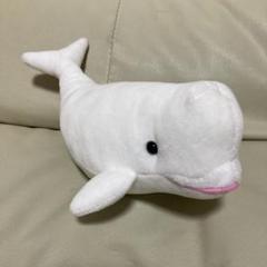 美品　名古屋港水族館シロイルカ　ベルーガぬいぐるみ特賞95センチ slide_1538406415519.jpg