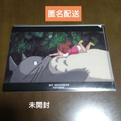 【未開封品】ジブリ となりのトトロ A5クリアファイル名場面シリーズ