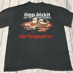 USA製 リンプ・ビズキット Limp Bizkit tee Tシャツ