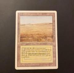 MTG Savannah 英語 デュアルランド - メルカリ