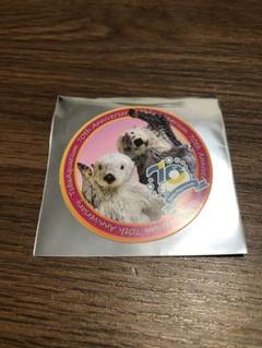 鳥羽水族館【5月15日】70周年 クイズラリー ステッカー ラッコ キラ メイ m79684447017_1.jpg?1747486425