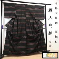 風車 縞大島紬 正絹 格子に素敵なデザイン 着物 U-3969